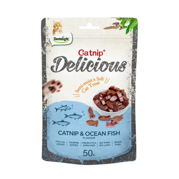تشويقی گربه با طعم كت نيپ و ماهی دریایی دنتالایت Dentalight Delicious Ocean Fish Cat Treats وزن 50 گرم