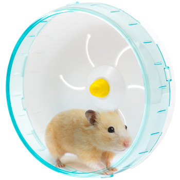 چرخ و فلک همستر