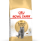 غذا خشک گربه رویال کنین بریتیش 4 کیلوگرم