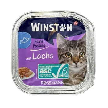 ووم وینستون 100 گرمی طعم ماهی