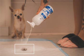 پودر بوگیر و آنتی باکتریال زیپک سایز ۵۰۰ گرم