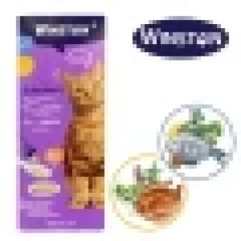 بستنی گربه وینستون 15 گرم