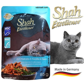 پوچ گربه شاه طعم ماهی خال دار و قزل آلا درسس 85 گرم